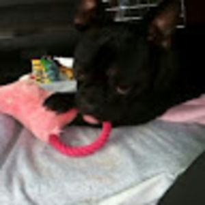 Meet your Posher, Barbara